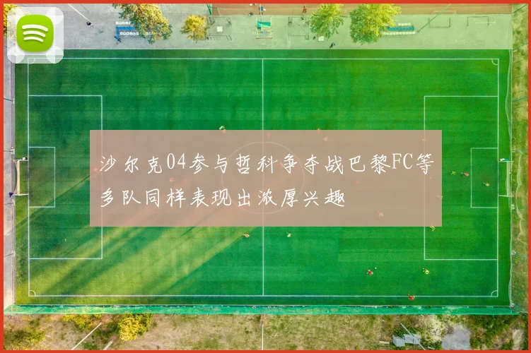 沙尔克04参与哲科争夺战巴黎FC等多队同样表现出浓厚兴趣