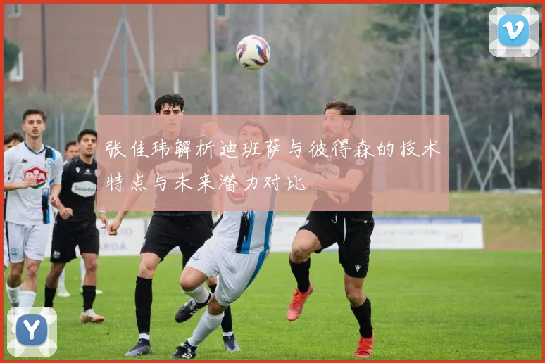 张佳玮解析迪班萨与彼得森的技术特点与未来潜力对比
